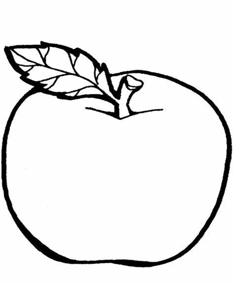 474x574 Apple Fruit Drawing For Kids Gtgt - Apple Fruit Drawing