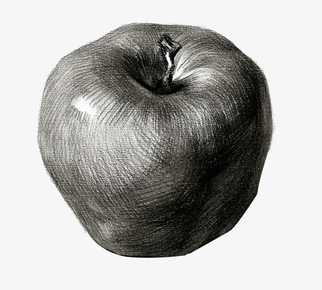 650x587 apple sketch, sketch, apple, fruit png image and clipart for free - Apple Fruit Drawing