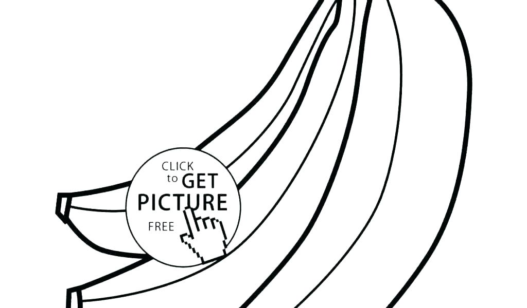 1024x600 Fruits Coloring Pages Book Apple For Preschoolers F Fruit Drawing - Apple Fruit Drawing