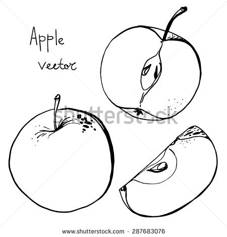 450x470 apple fruit clipart drawing apple - Apple Fruit Drawing