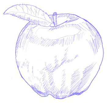 350x337 How To Draw An Apple - Apple Fruit Drawing