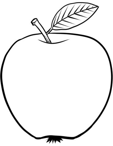371x480 apple fruit clipart drawing apple - Apple Fruit Drawing