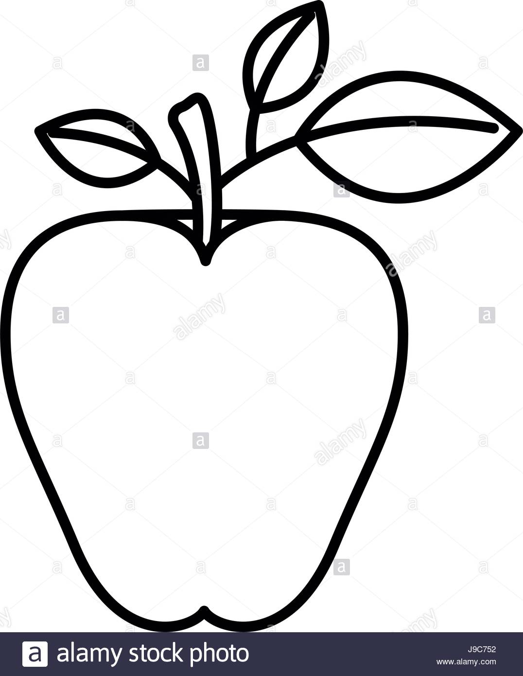 1076x1390 Huge Collection Of 'line Drawing Of Apple' Download More Than - Apple Line Drawing