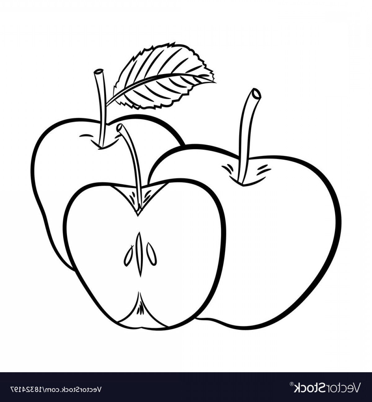 1200x1296 Line Drawing Of Apples Simple Line Vector Soidergi - Apple Line Drawing
