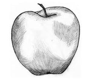 301x264 Assignment One - Apple Outline Drawing