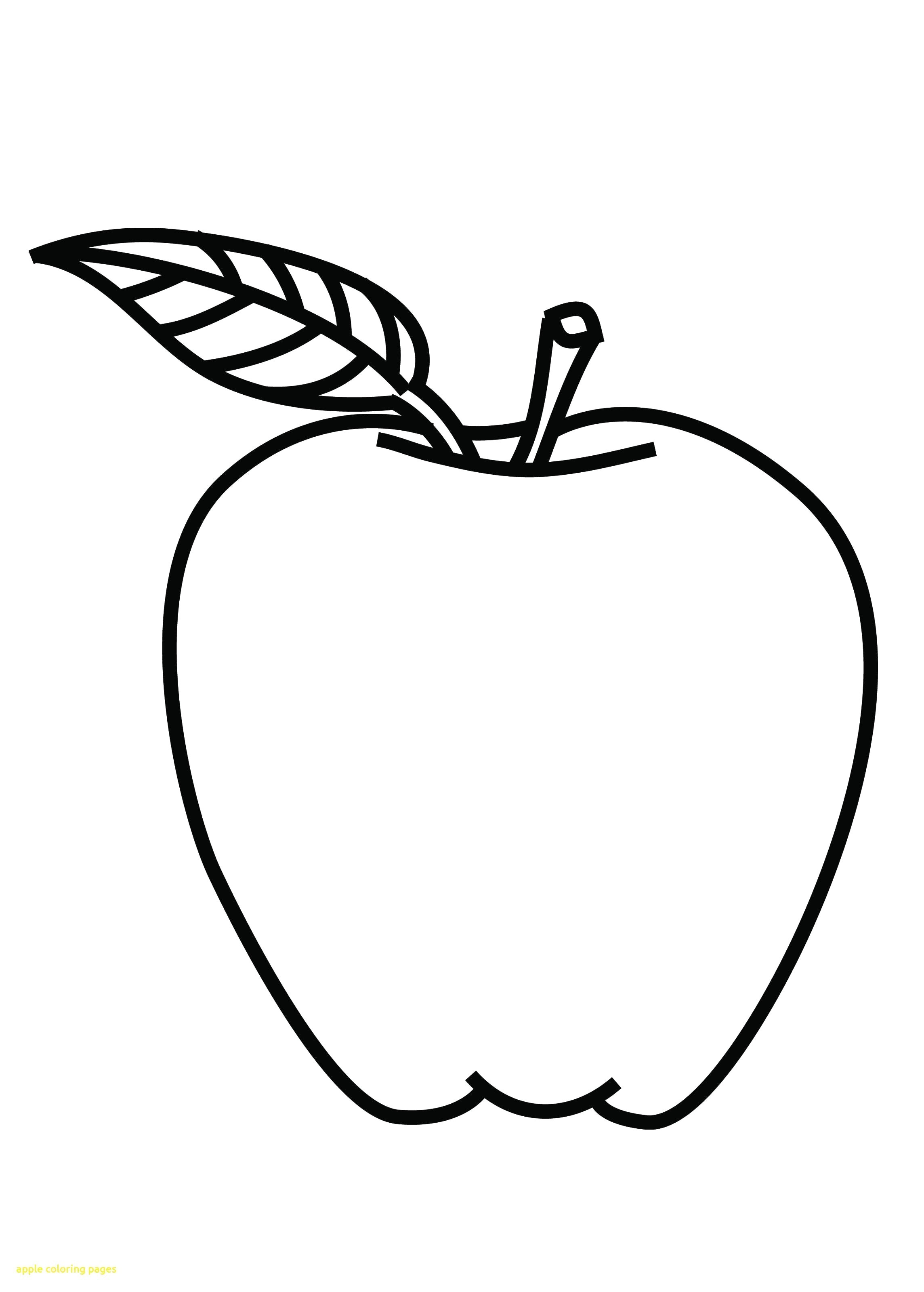 Apple Outline Drawing at Explore collection of