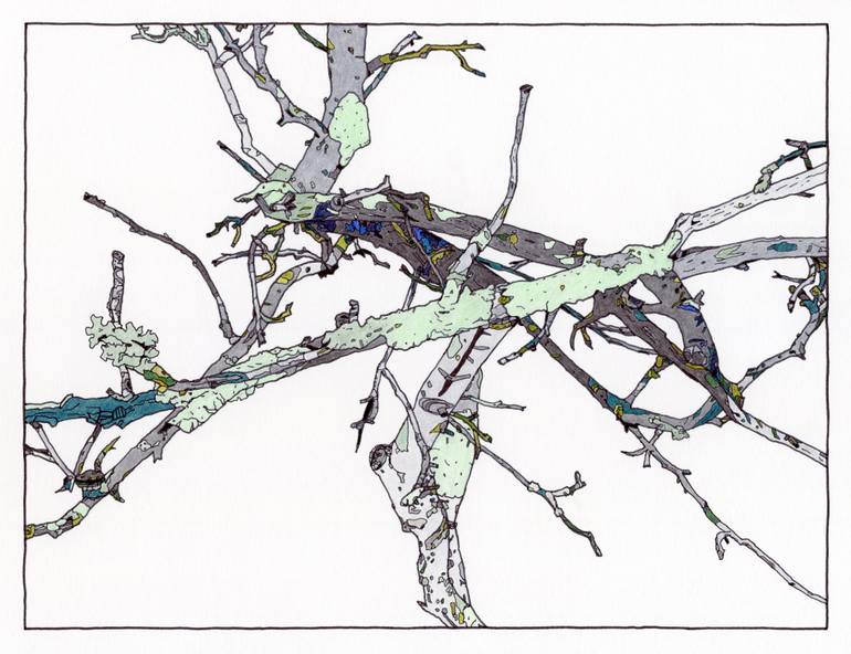 770x592 Apple Tree Drawing - Apple Tree Drawing