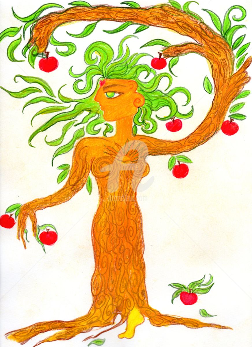 872x1200 Apple Tree Drawing - Apple Tree Drawing