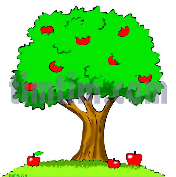 Apple Tree Drawing At Paintingvalley Com Explore Collection Of