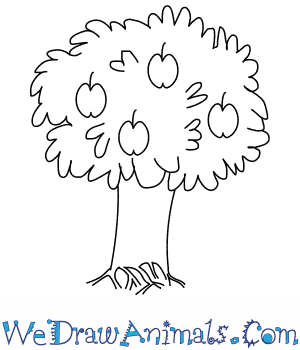 300x350 How To Draw An Apple Tree - Apple Tree Drawing