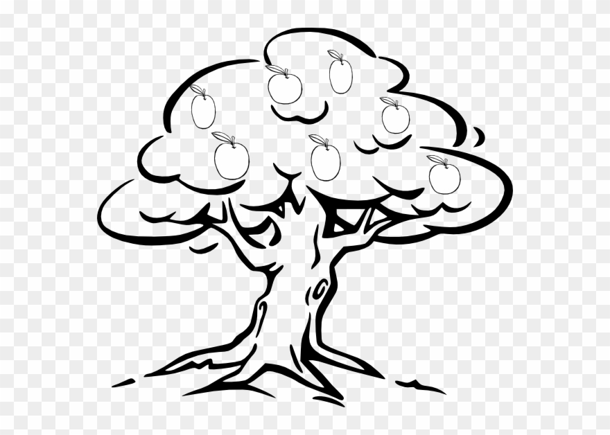 880x628 Apple Tree Clip Art - Apple Tree Drawing