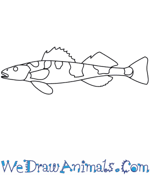 300x350 how to draw an apron - Apron Drawing