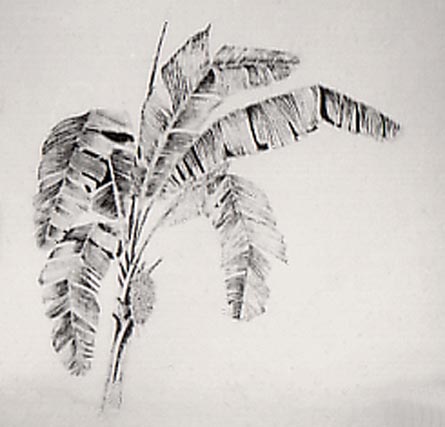 445x427 Drawing And Aquarelle - Aquarelle Drawing