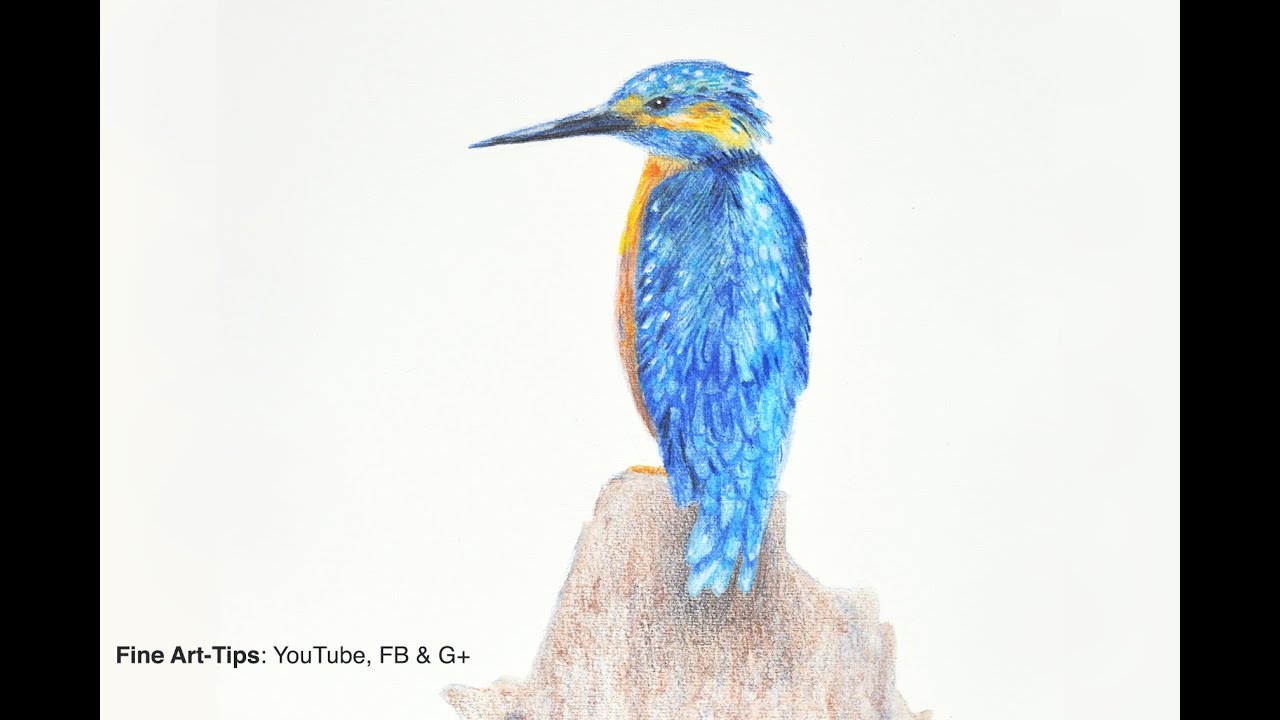 1280x720 how to draw a kingfisher with aquarelle pencils - Aquarelle Drawing