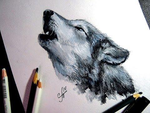 480x360 Picture Wolf - Aquarelle Drawing
