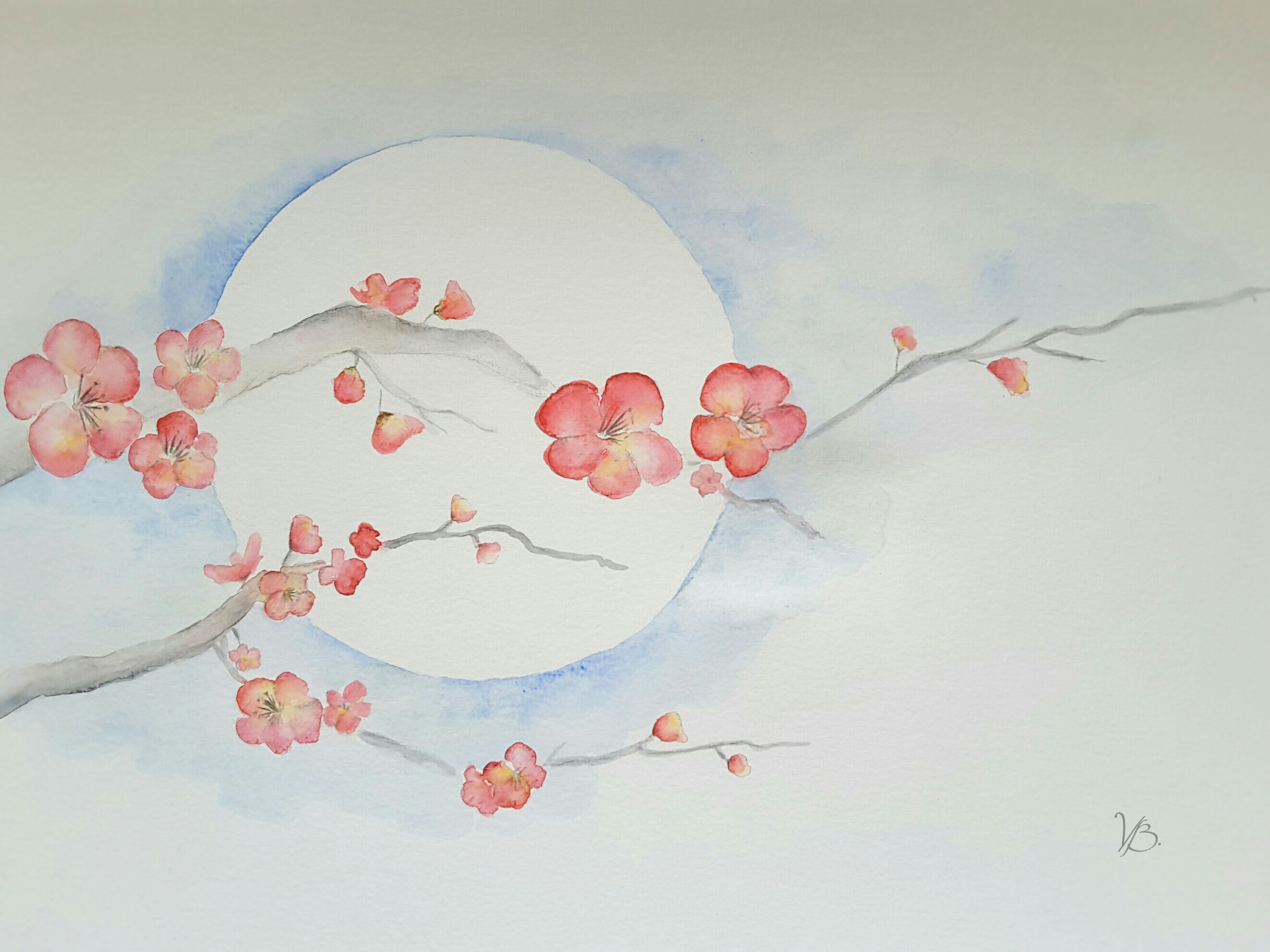 2643x1982 Watercolor Aquarelle Drawing Flower - Aquarelle Drawing