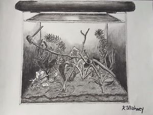 300x227 aquarium sketch - Aquarium Drawing
