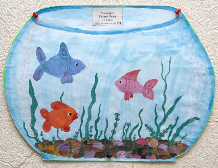882x680 aquarium nature drawings pictures drawings ideas for kids - Aquarium Drawing