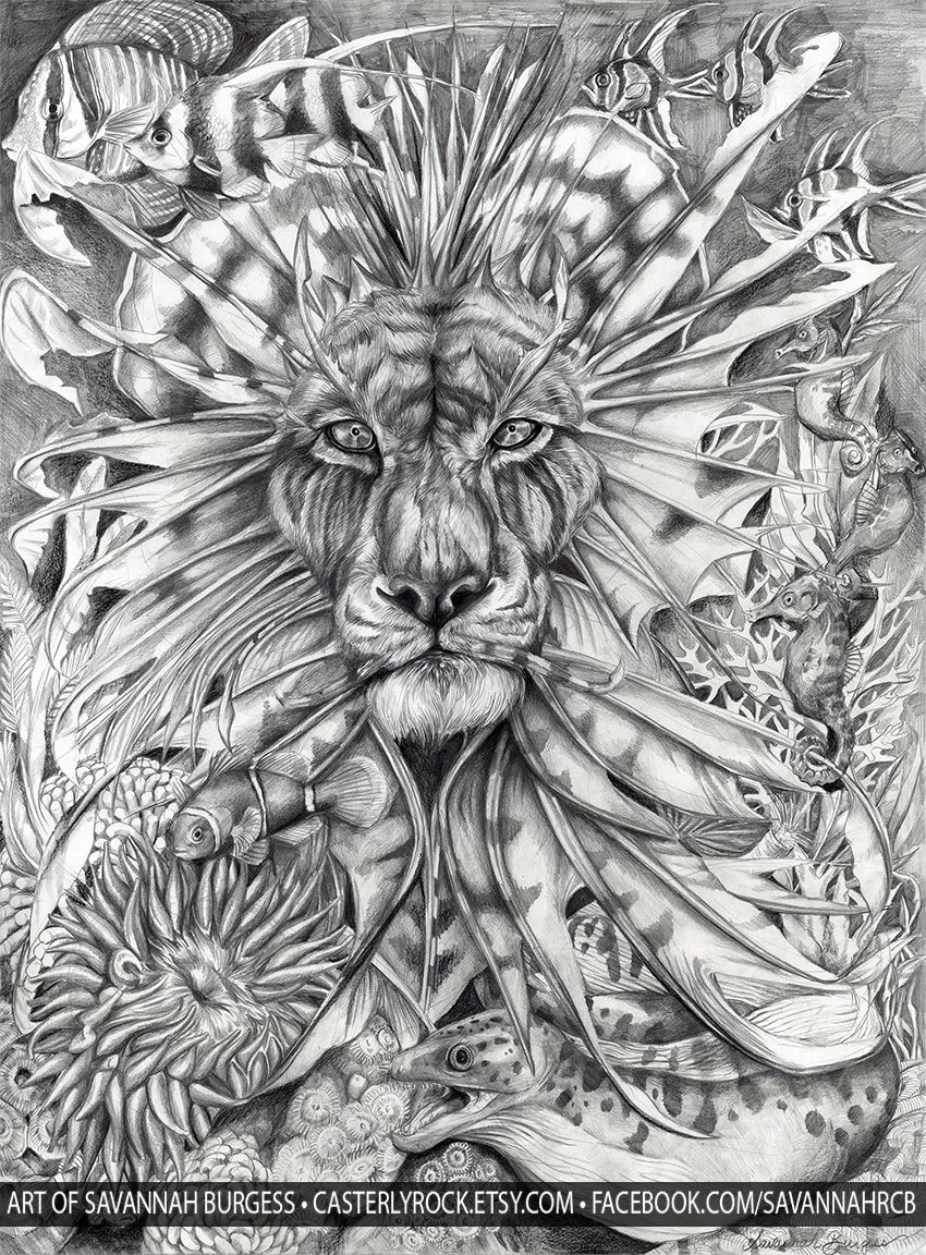 850x1152 finished my saltwater aquarium drawing! oceanus, graphite pencil - Aquarium Drawing