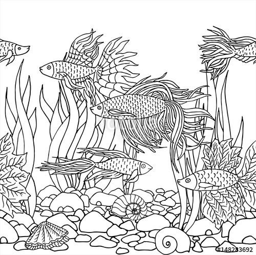 500x498 hand drawn vector fish, seaweed, seashells, stones beautiful hand - Aquarium Drawing