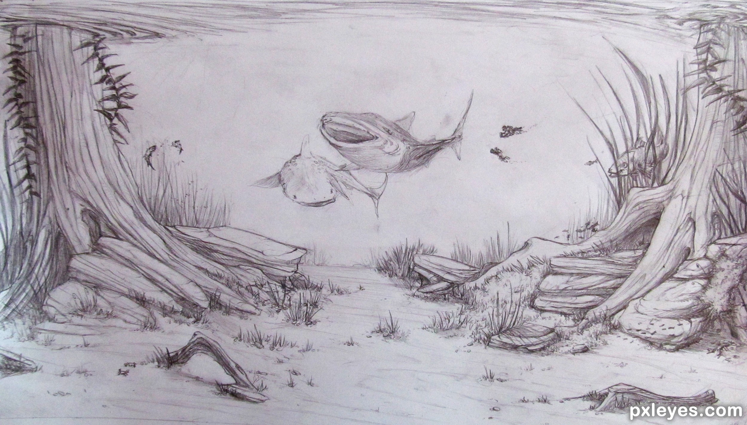 Aquarium Drawing at Explore collection of Aquarium