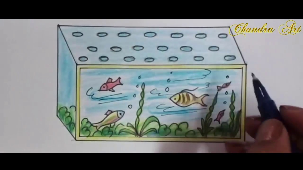 1280x720 aquarium drawing - Aquarium Drawing