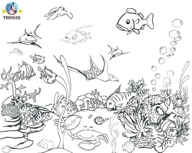 728x582 Coloring Pages To Print For Adults Free Kids Summer Aquarium - Aquarium Drawing For Kid