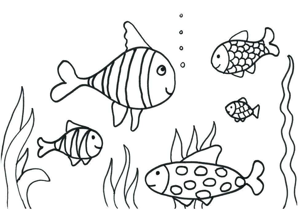 970x685 coloring pages to print unicorns for boys halloween candy fish - Aquarium Drawing For Kid