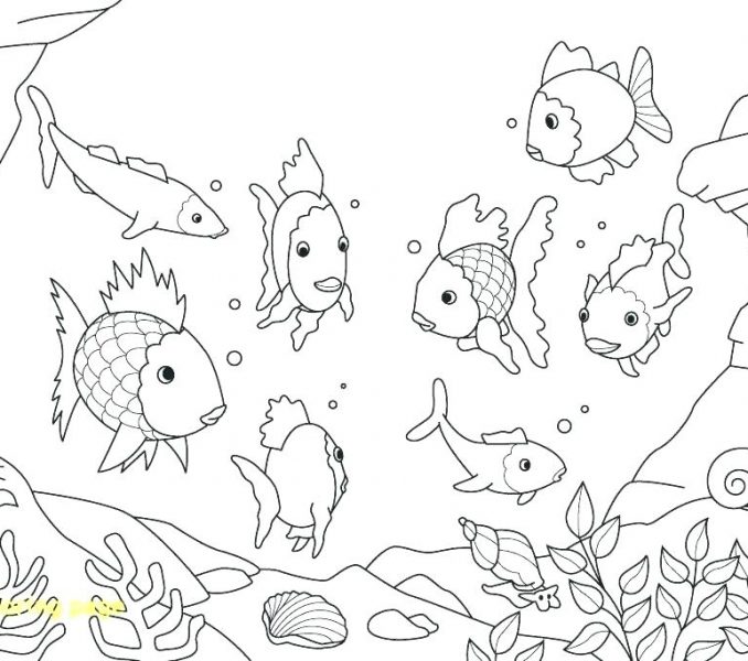 678x600 Draw Fish Aquarium - Aquarium Drawing For Kid