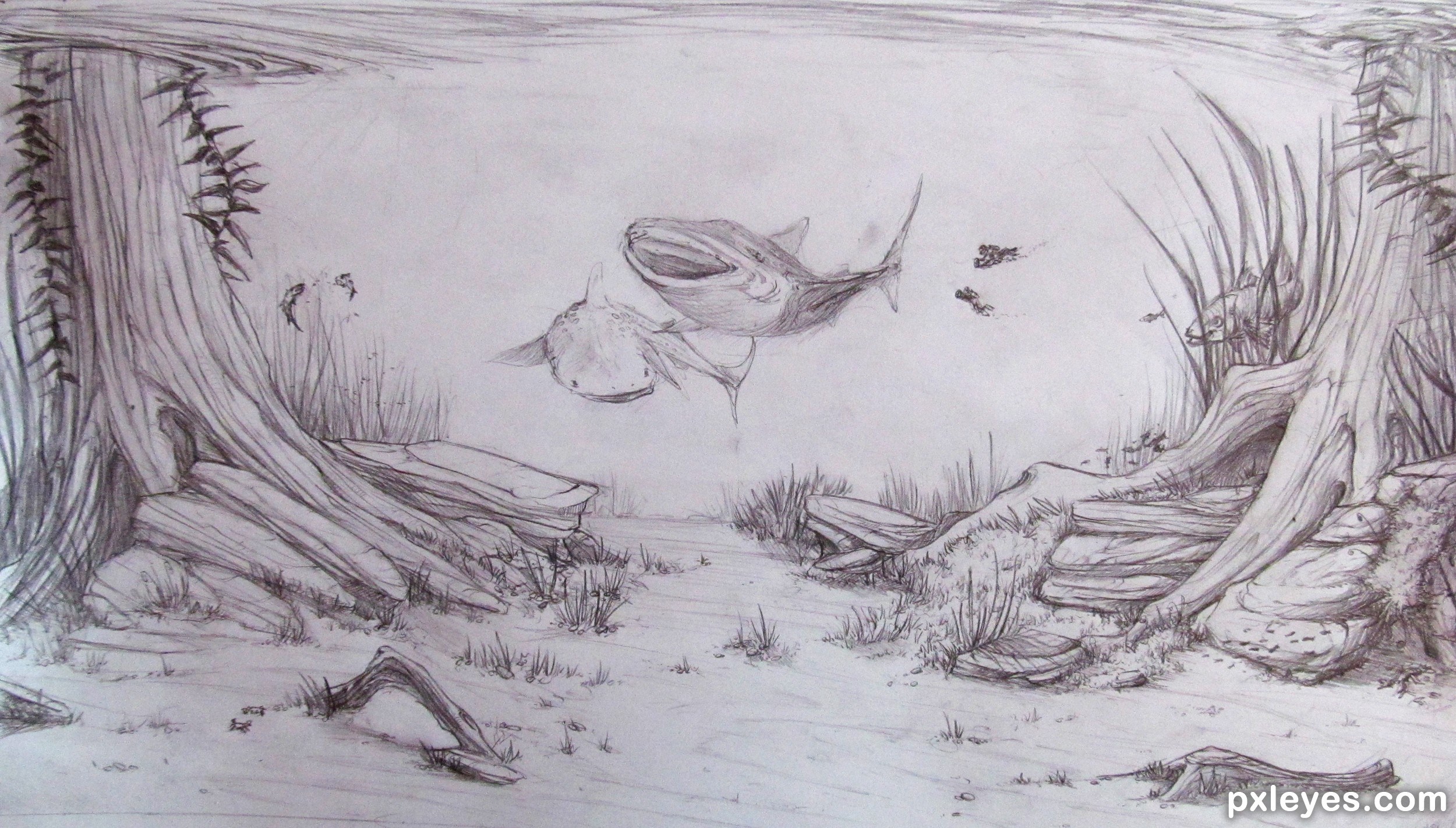 2500x1421 Easy Drawing Fish Tank Fish Bowl Clipart Line Art Pencil - Aquarium Drawing For Kid