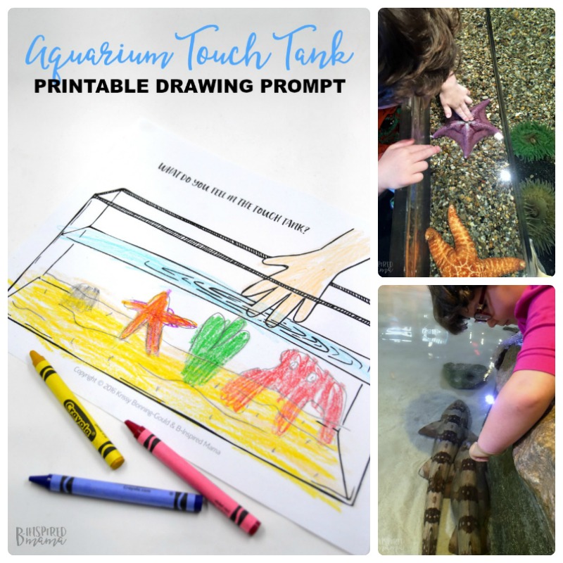 800x800 fun touch tank drawing prompt for kids + our adventure aquarium trip - Aquarium Drawing For Kid