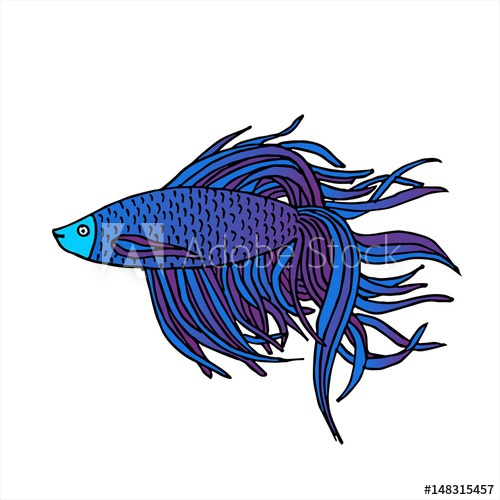 500x500 beautiful hand drawn aquarium fish river fish sea fish betta - Aquarium Fish Drawing