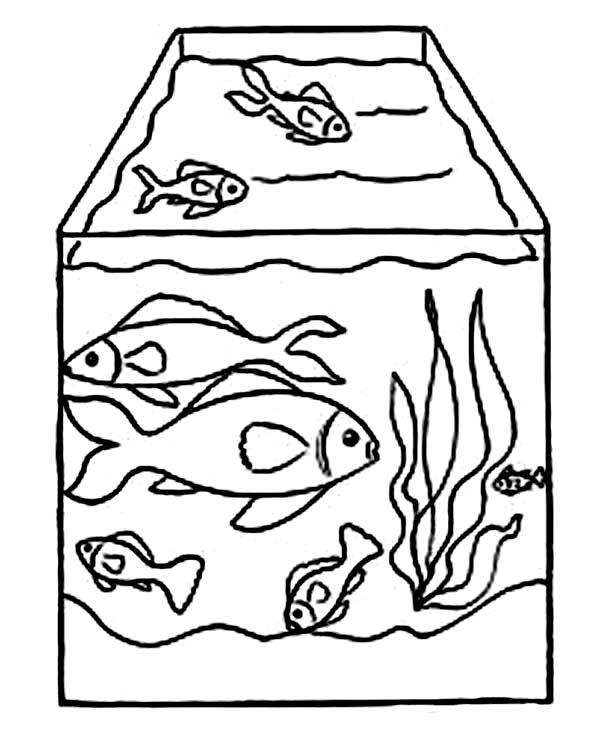 600x733 Fish Tank Drawing Image - Aquarium Fish Drawing