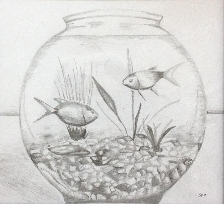 Aquarium Fish Drawing at PaintingValley.com | Explore collection of