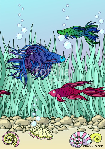 351x500 hand drawn vector fish, seaweed, seashells, stones beautiful hand - Aquarium Fish Drawing