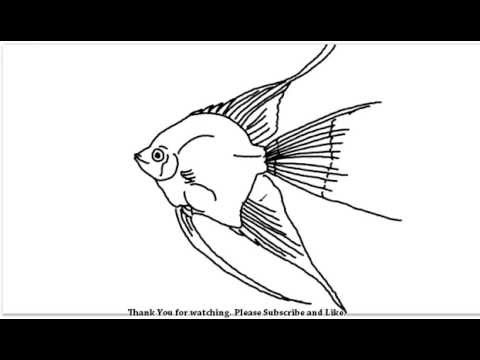 480x360 how to draw an aquarium fish yzarts yzarts - Aquarium Fish Drawing
