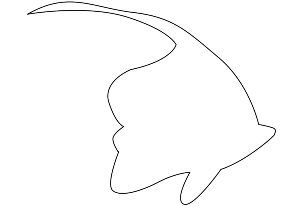 1024x720 pet fish beautiful freshwater aquarium fish drawing - Aquarium Fish Drawing