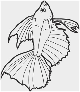 272x310 printable fish coloring pages prettier aquarium fish drawing - Aquarium Fish Drawing