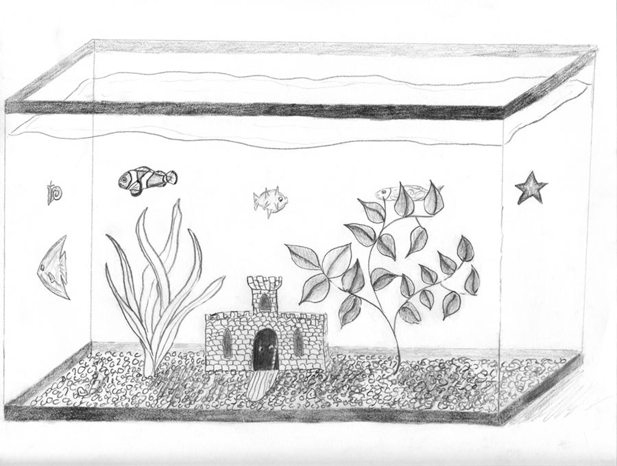 Top more than 137 fish tank drawing hard - vietkidsiq.edu.vn