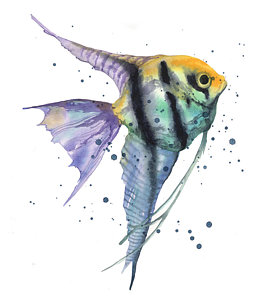 256x300 aquarium fish art fine art america - Aquarium Fish Drawing