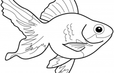 235x150 aquarium fish drawing - Aquarium Fish Drawing