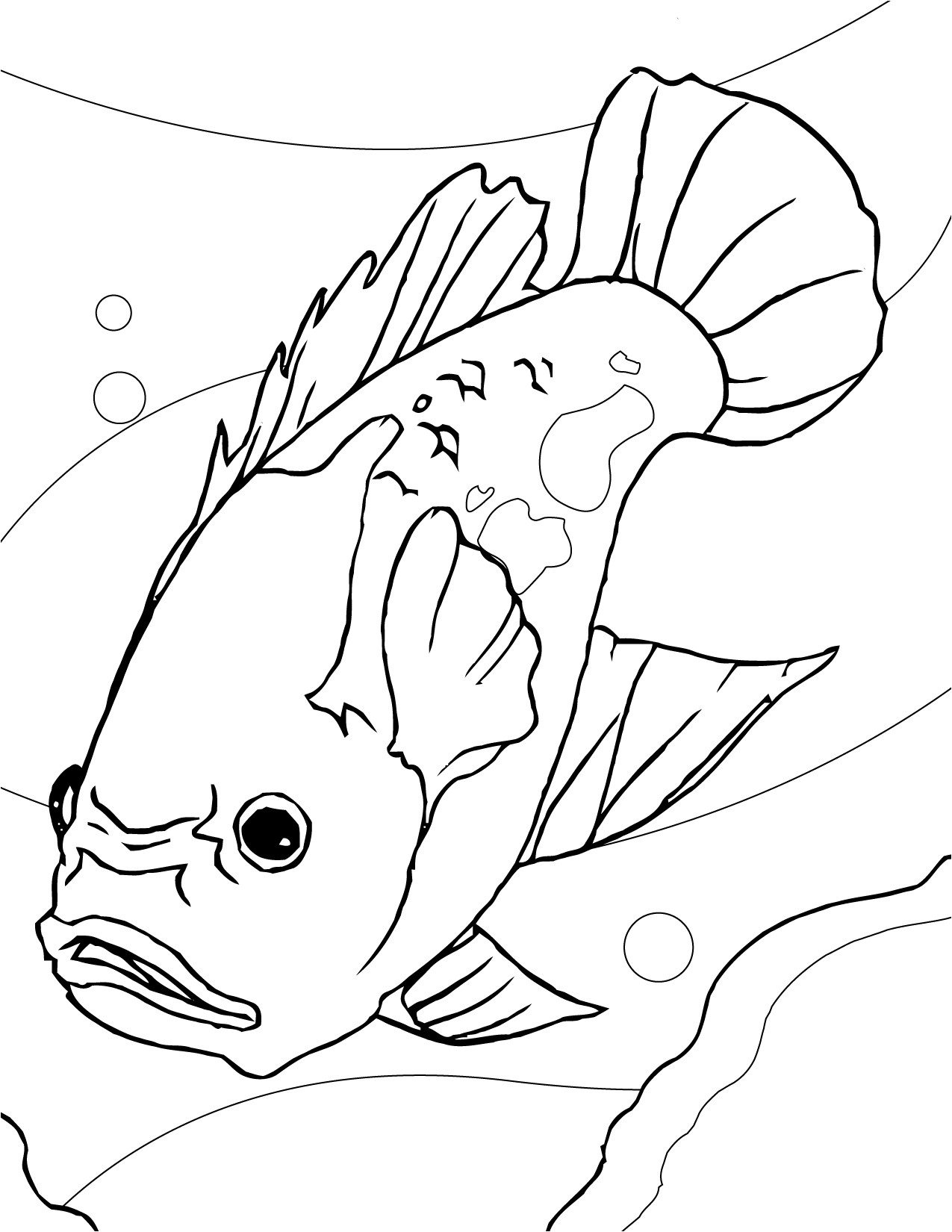 Aquarium Fish Drawing at PaintingValley.com | Explore collection of ...