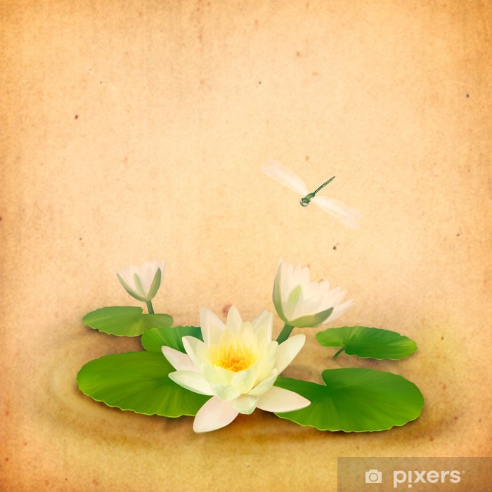 700x700 water lily - Aquatic Drawing