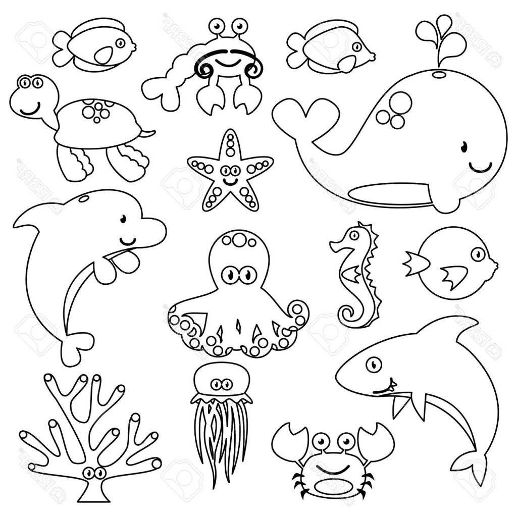 Aquatic Animals Drawing Step By Step - Ocean Animals Drawing Step By