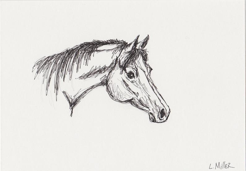 794x554 pen and ink horse drawing equine art arabian horse sketch etsy - Arabian Horse Drawing