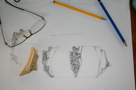 532x354 report - Archaeological Drawing