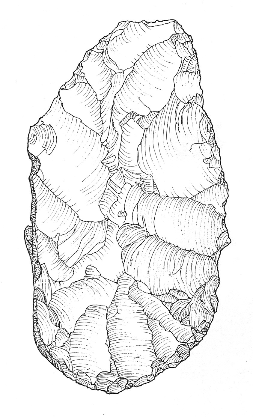 844x1391 Archaeological Illustration Artifact Drawings - Archaeological Drawing