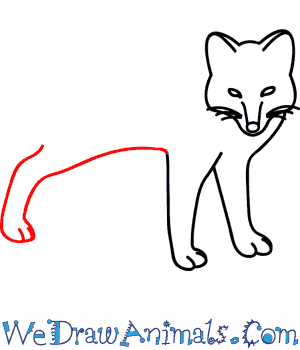 300x350 how to draw an arctic fox - Arctic Fox Drawing