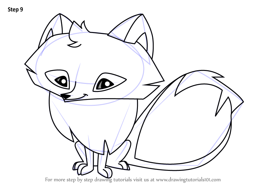 846x600 learn how to draw arctic fox from animal jam - Arctic Fox Drawing
