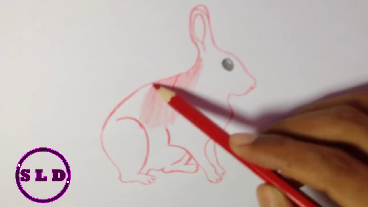 1280x720 arctic hare simple drawing step - Arctic Hare Drawing